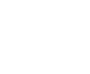 Evolution games at Wild Fortune Casino