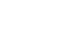 NetEnt games at Wild Fortune Casino